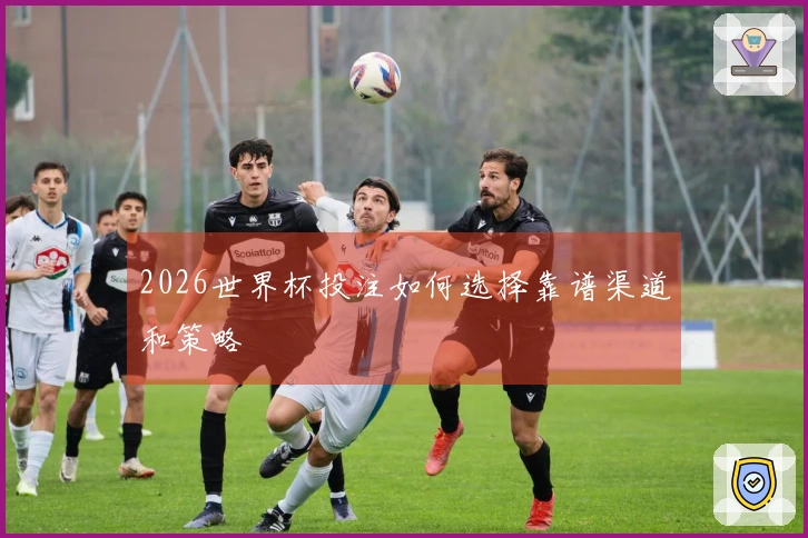 2026世界杯投注如何选择靠谱渠道和策略