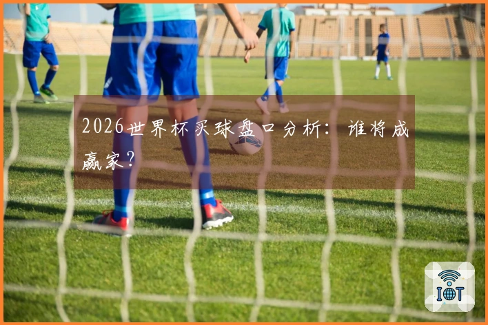 2026世界杯买球盘口分析：谁将成赢家？