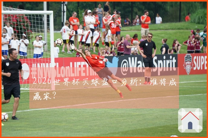2026世界杯买球盘口分析：谁将成赢家？