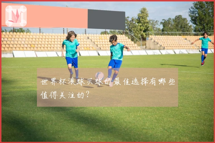 世界杯滚球买球的最佳选择有哪些值得关注的？